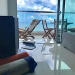 Palmetto Eliptic 4003